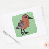 Red Knot Vierkante Sticker (Envelop)