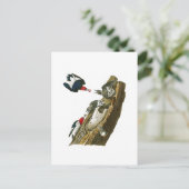 Red kop Woodpecker John Audubon Birds America Briefkaart (Staand voorkant)