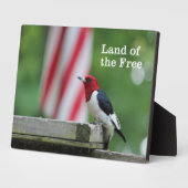 Red-kopige Woodpecker Fotoplaat (Zijkant)