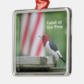 Red-kopige Woodpecker Metalen Ornament (Links)