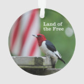 Red-kopige Woodpecker Ornament (achterkant)