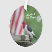 Red-kopige Woodpecker Ornament (voorkant)