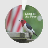 Red-kopige Woodpecker Ornament (voorkant)