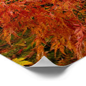 Red Laced Maple Tree in Japanse tuin Poster (Hoek)