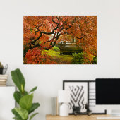 Red Laced Maple Tree in Japanse tuin Poster (Thuiskantoor)