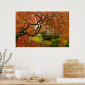 Red Laced Maple Tree in Japanse tuin Poster (Keuken)