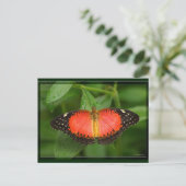 Red Lacewing Briefkaart (Staand voorkant)
