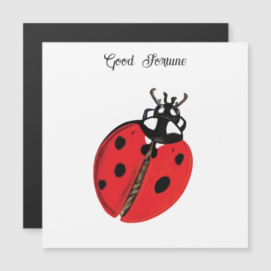 Red Lady Bug Succes Ambassadeur Illustratie (Voorkant / Achterkant)