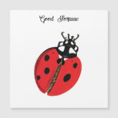 Red Lady Bug Succes Ambassadeur Illustratie (Voorkant)