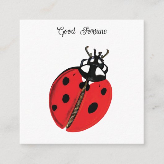 Red Lady Bug Succes Ambassadeur Illustratie Informatiekaartje (Voorkant)
