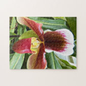 Red Lady Slipper Orchid Floral Legpuzzel (Horizontaal)