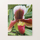Red Lady Slipper Orchid Floral Legpuzzel (Verticaal)