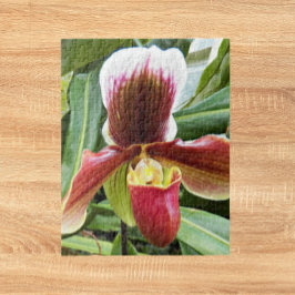 Red Lady Slipper Orchid Floral Legpuzzel