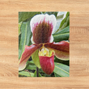 Red Lady Slipper Orchid Floral Legpuzzel