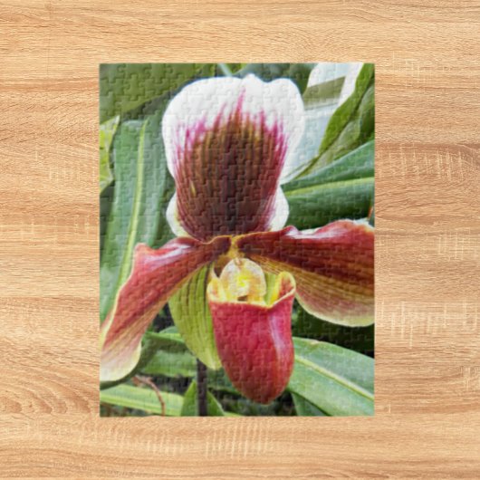 Red Lady Slipper Orchid Floral Legpuzzel