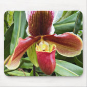 Red Lady Slipper Orchid Floral Muismat (Voorkant)