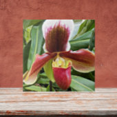 Red Lady Slipper Orchid Floral Tegeltje