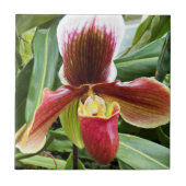 Red Lady Slipper Orchid Floral Tegeltje (Voorkant)