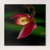 Red Lady Slippers Orchid Legpuzzel (Horizontaal)