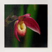 Red Lady Slippers Orchid Legpuzzel (Verticaal)