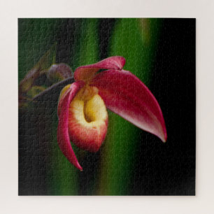Red Lady Slippers Orchid Legpuzzel