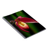 Red Lady Slippers Orchid Notitieboek (Rechterzijde)