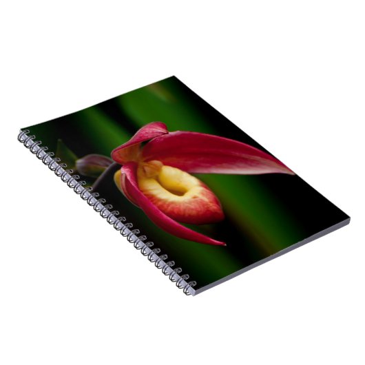 Red Lady Slippers Orchid Notitieboek (Rechterzijde)