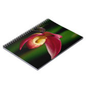 Red Lady Slippers Orchid Notitieboek (Linkerzijde)