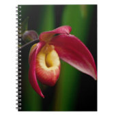 Red Lady Slippers Orchid Notitieboek (Voorkant)