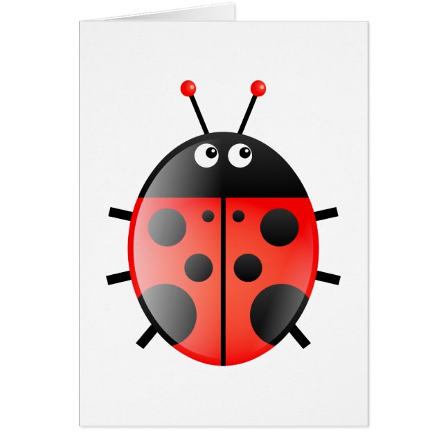 Red Ladybug (Voorkant)