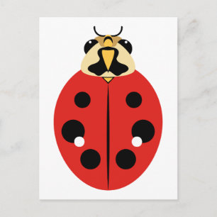 Red Ladybug Beetle Briefkaart