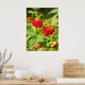 RED LANTANA Poster (Keuken)