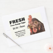 Red Laying Hen Chicken Foto Rechthoekige Sticker (Envelop)