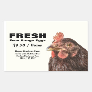 Red Laying Hen Chicken Foto Rechthoekige Sticker