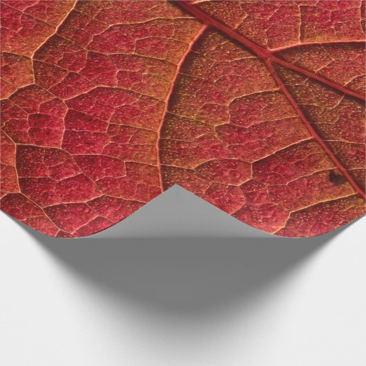 RED LEAF CADEAUPAPIER (Hoek)