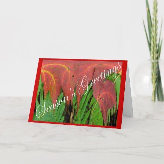Red Leaf & Fern Kerst Kaart (Voorkant)