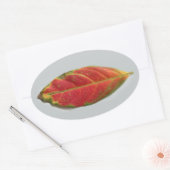  Red Leaf ovale sticker, sealer, label (Envelop)