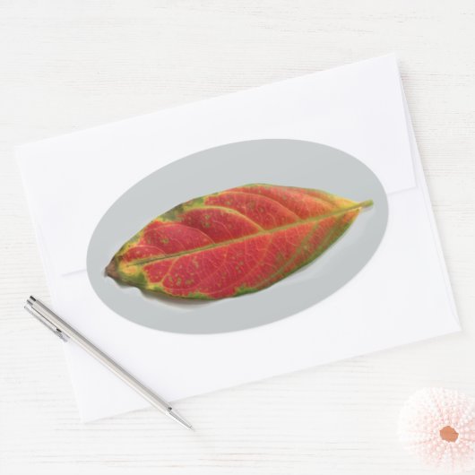 Red Leaf ovale sticker, sealer, label (Envelop)