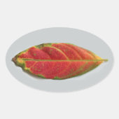  Red Leaf ovale sticker, sealer, label (Voorkant)