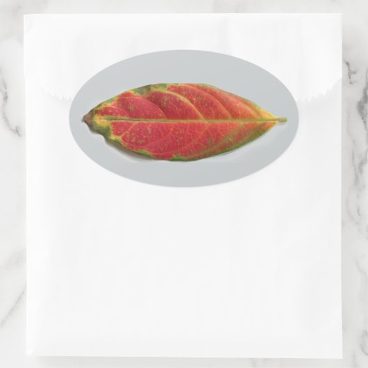 Red Leaf ovale sticker, sealer, label (Tas)