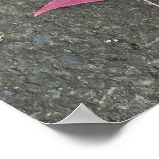 Red Leaf Photo Poster (Hoek)