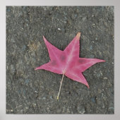 Red Leaf Photo Poster (Voorkant)