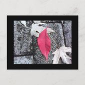 Red Leaf Post Card Briefkaart (Voorkant)