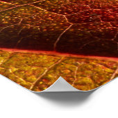 RED LEAF POSTER (Hoek)