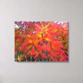 Red Leaf Tree 3 Canvas afdrukken (Voorkant)