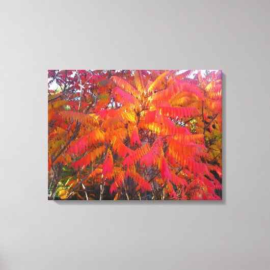 Red Leaf Tree 3 Canvas afdrukken (Voorkant)