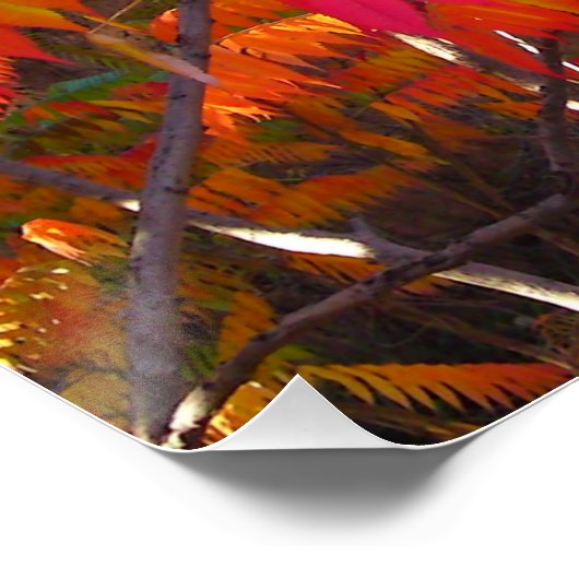 Red Leaf Tree Perfect Poster (Hoek)