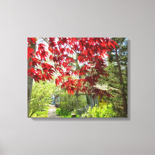 Red Leaves en Walkway - Martha's Vineyard Canvas Afdruk (Voorkant)