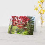 Red Leaves en Walkway - Martha's Vineyard Kaart (Gele Bloem)