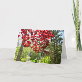 Red Leaves en Walkway - Martha's Vineyard Kaart